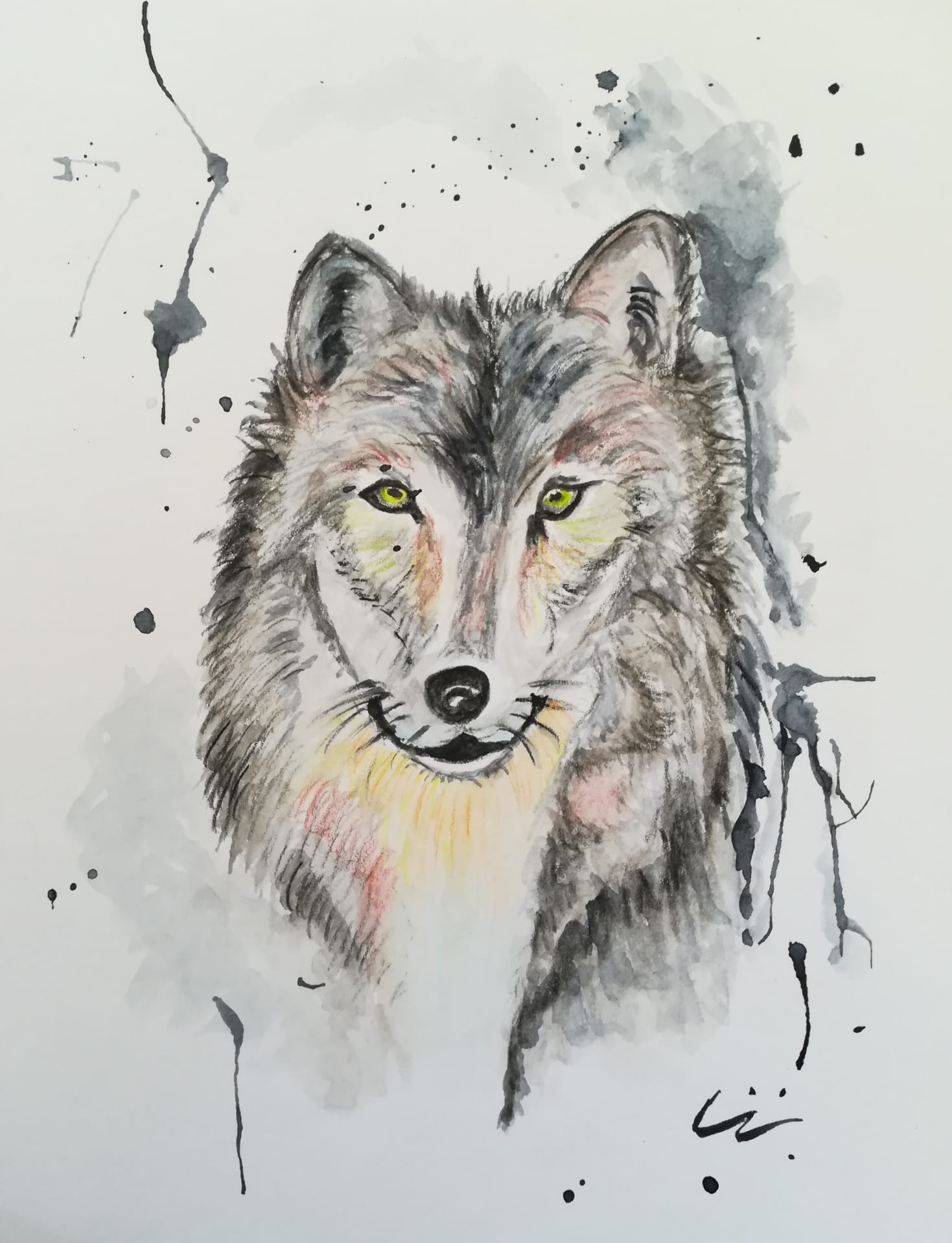 Lobo, acuarela sobre lienzo de papel, 2026