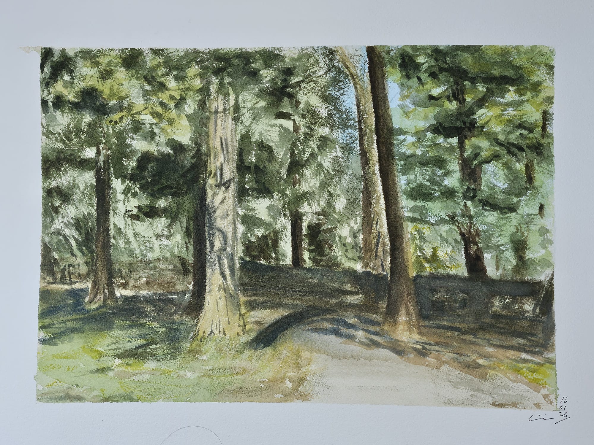 Luz en el parque, acuarela sobre lienzo de papel, 2026