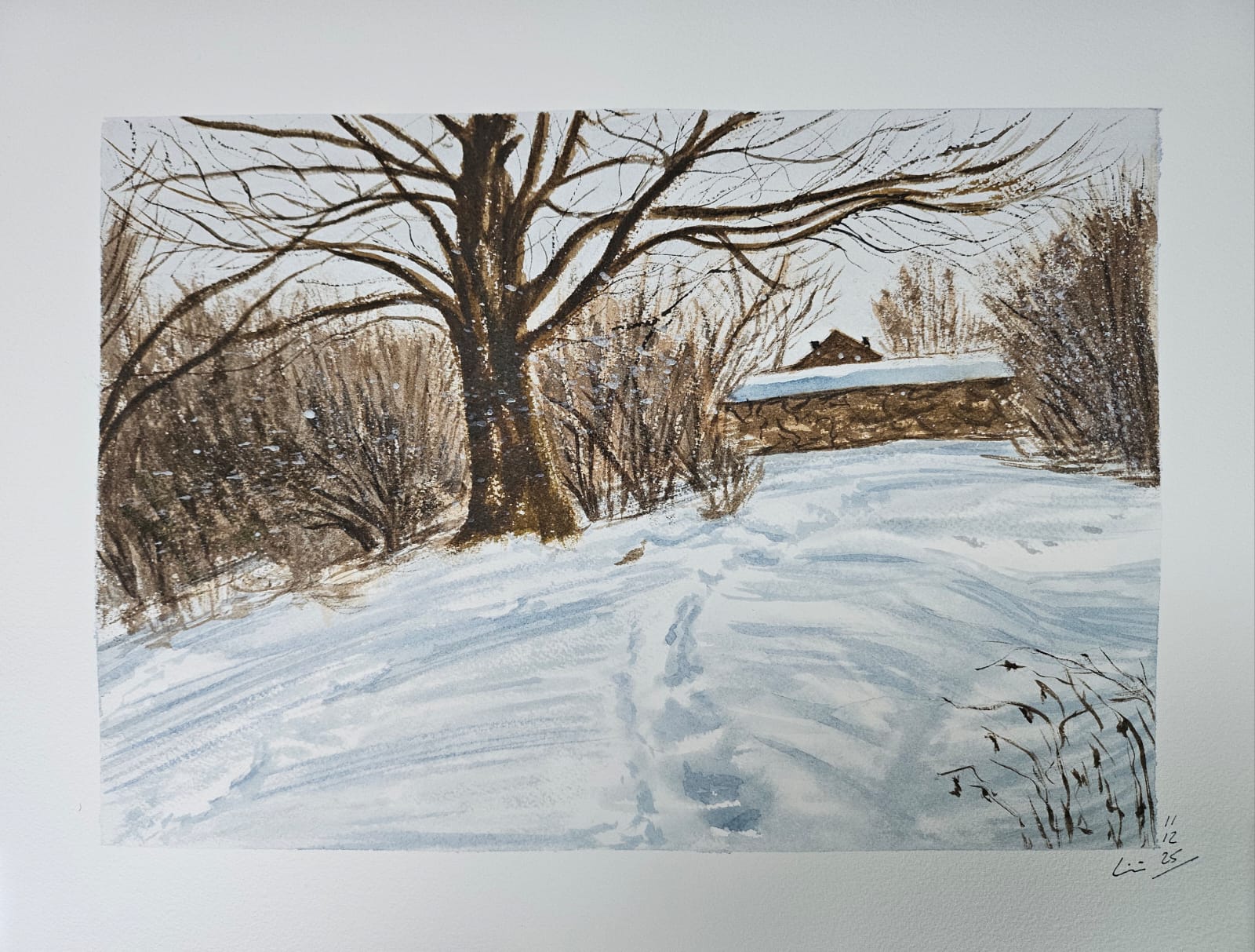 Primera nevada, acuarela sobre lienzo de papel, 2025